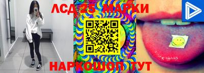 гидропоника Жуковский